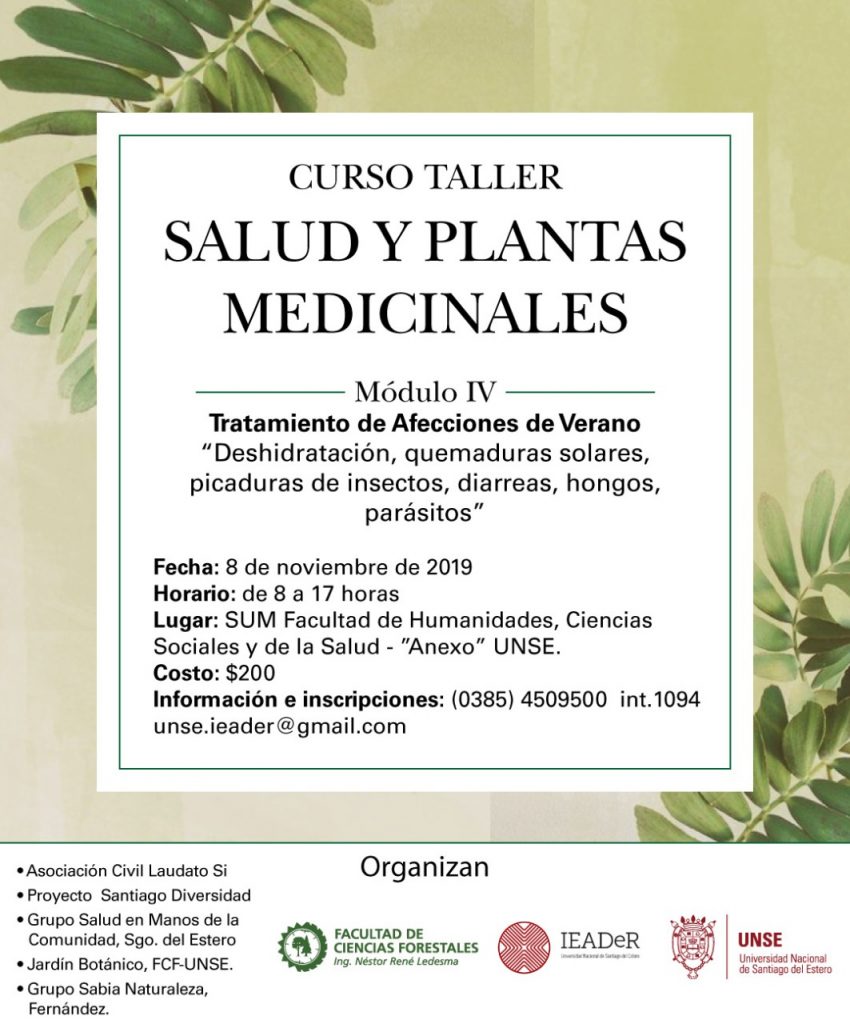 Curso Taller Salud y Plantas Medicinales: MÓDULO IV