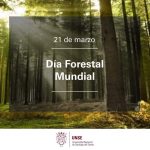 Día Forestal Mundial