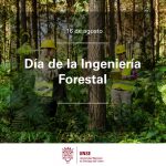16 de agosto: Día de la Ingeniería Forestal