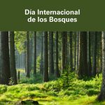 21 de marzo: Día Internacional de los Bosques