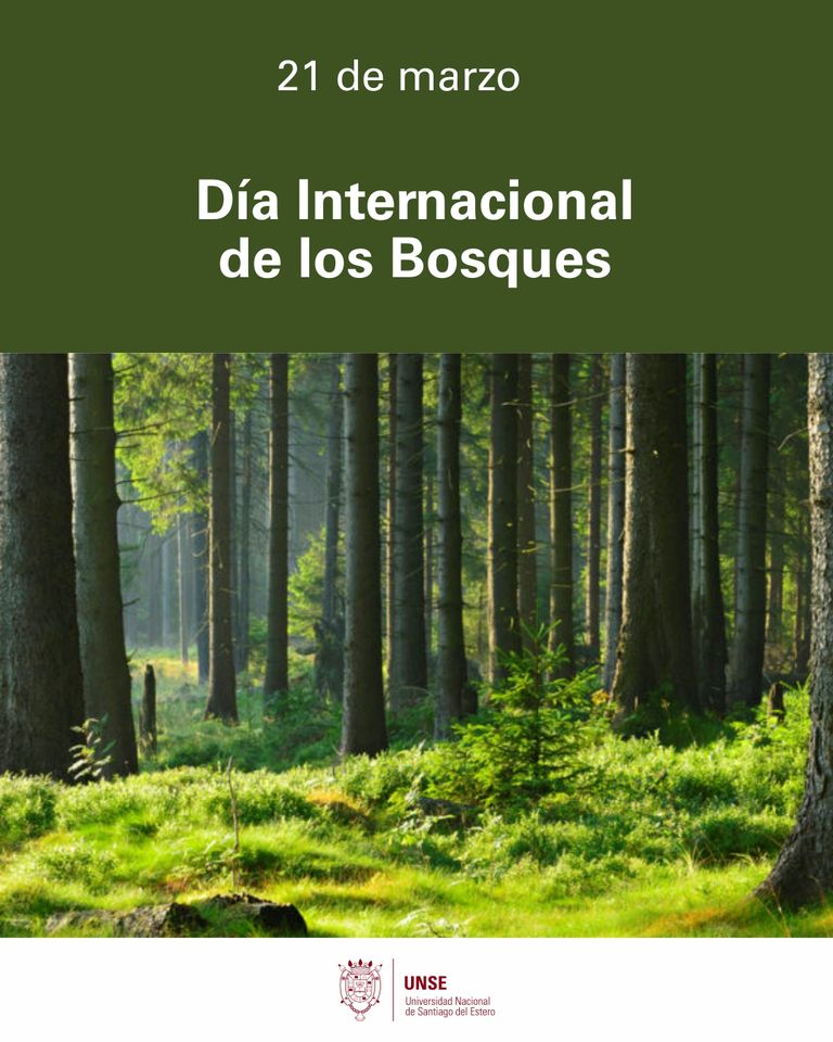 21 de marzo: Día Internacional de los Bosques