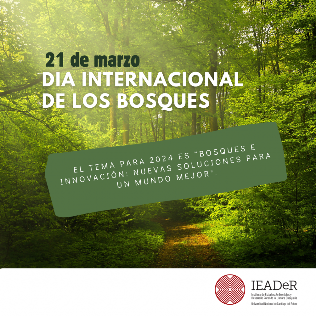 21 de marzo: Día Internacional de los bosques